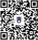1734572824543.jpg